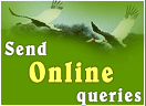 Online Query